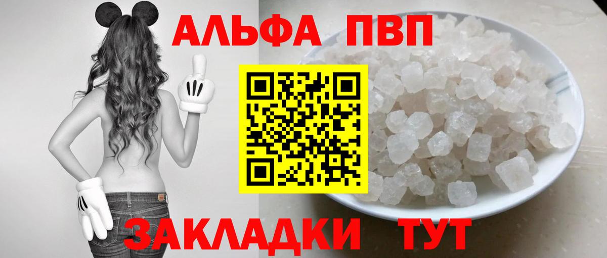 Альфа ПВП СК Гагарин