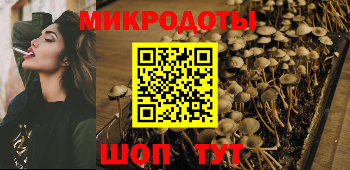 Псилоцибиновые грибы MAGIC MUSHROOMS  Галлюциногенные грибы Psilocybe  дарнет шоп  Гагарин  Вход с VPN 