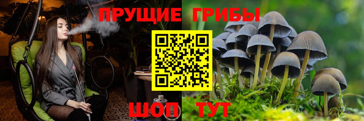 Галлюциногенные грибы MAGIC MUSHROOMS Гагарин